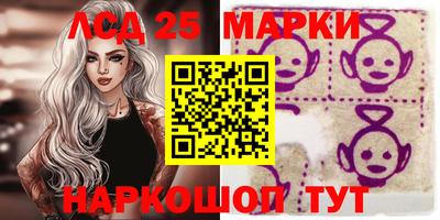 стаф Можга