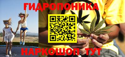 стаф Можга