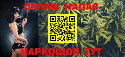 стаф Можга
