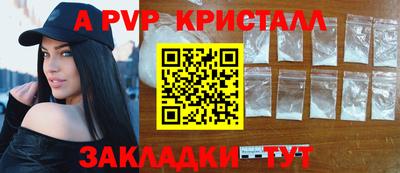 стаф Можга