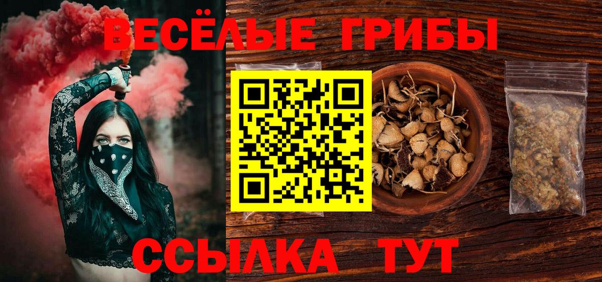 Тамбов  Галлюциногенные грибы Psilocybe  Вход с VPN  Галлюциногенные грибы прущие грибы 